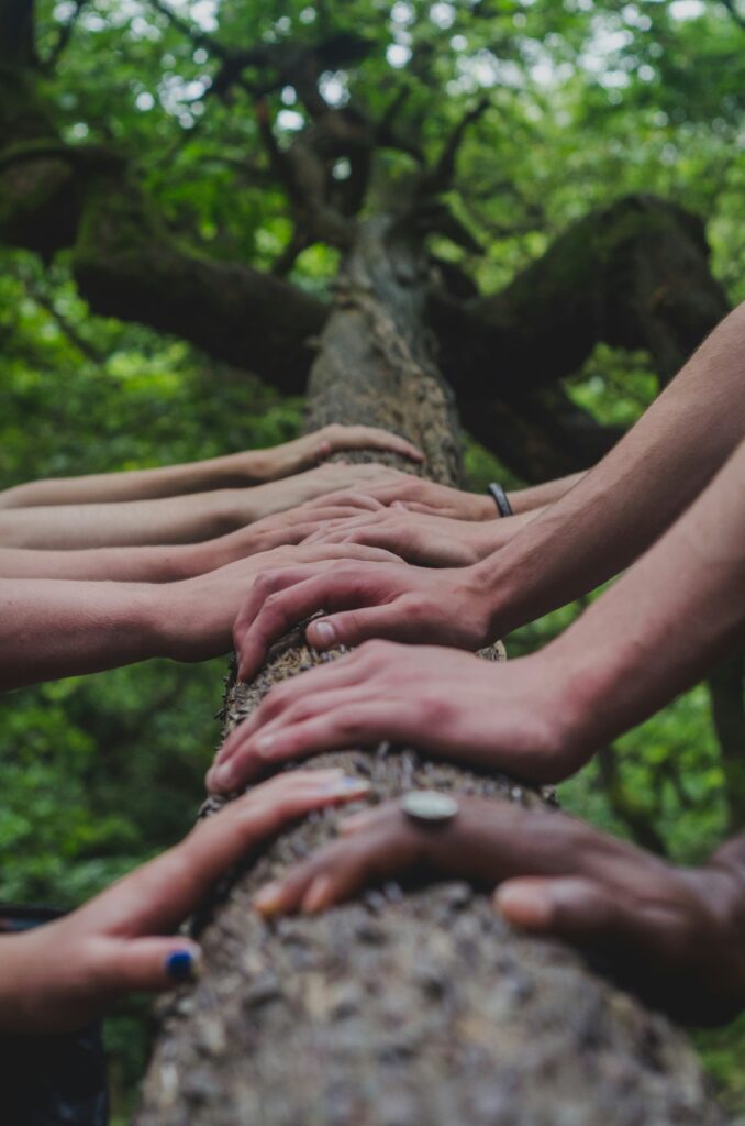 Hände auf Baumstamm im Wald – Zeichen für Gemeinschaft.